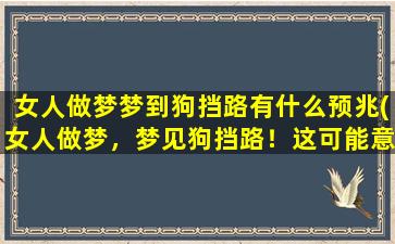 女人做梦梦到狗挡路有什么预兆(女人做梦，梦见狗挡路！这可能意味着什么？)