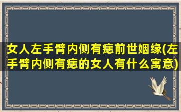 女人左手臂内侧有痣前世姻缘(左手臂内侧有痣的女人有什么寓意)