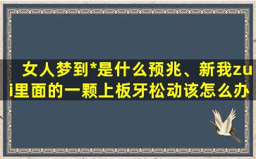 女人梦到*是什么预兆、新我zui里面的一颗上板牙松动该怎么办