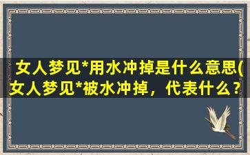 女人梦见*用水冲掉是什么意思(女人梦见*被水冲掉，代表什么？)