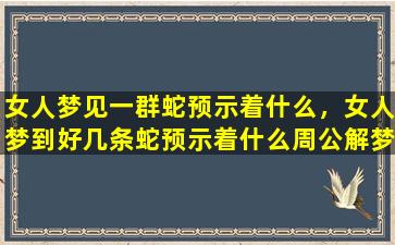 女人梦见一群蛇预示着什么，女人梦到好几条蛇预示着什么周公解梦