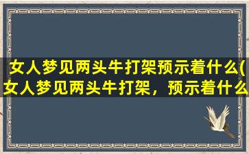 女人梦见两头牛打架预示着什么(女人梦见两头牛打架，预示着什么？解析梦境中牛打架的含义)