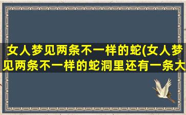 女人梦见两条不一样的蛇(女人梦见两条不一样的蛇洞里还有一条大蛇)