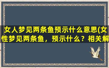 女人梦见两条鱼预示什么意思(女性梦见两条鱼，预示什么？相关解释和解读！)