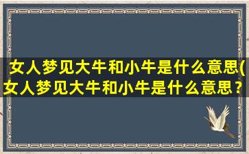 女人梦见大牛和小牛是什么意思(女人梦见大牛和小牛是什么意思？解析与分析)