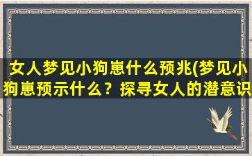 女人梦见小狗崽什么预兆(梦见小狗崽预示什么？探寻女人的潜意识提示)