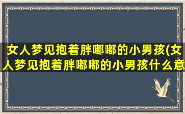 女人梦见抱着胖嘟嘟的小男孩(女人梦见抱着胖嘟嘟的小男孩什么意思)