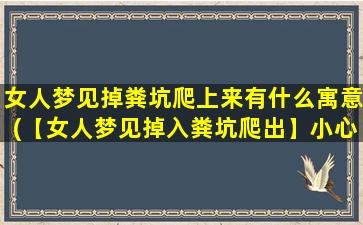 女人梦见掉粪坑爬上来有什么寓意(【女人梦见掉入粪坑爬出】小心遭遇挫折，莫慌失方向)