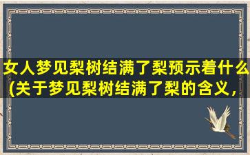 女人梦见梨树结满了梨预示着什么(关于梦见梨树结满了梨的含义，揭秘女人做梦所预示的事情)