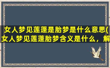 女人梦见莲蓬是胎梦是什么意思(女人梦见莲蓬胎梦含义是什么，解梦专家解释引领你懂得更多！)