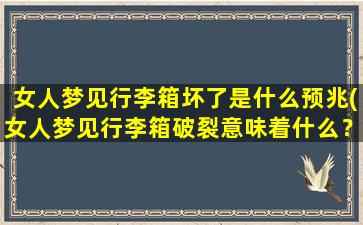 女人梦见行李箱坏了是什么预兆(女人梦见行李箱破裂意味着什么？)