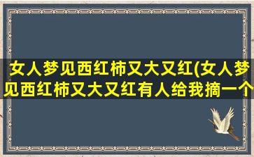 女人梦见西红柿又大又红(女人梦见西红柿又大又红有人给我摘一个)