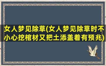 女人梦见除草(女人梦见除草时不小心挖棺材又把土添盖着有预兆)