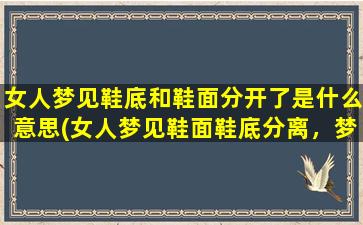 女人梦见鞋底和鞋面分开了是什么意思(女人梦见鞋面鞋底分离，梦境的含义是什么)