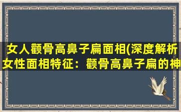 女人颧骨高鼻子扁面相(深度解析女性面相特征：颧骨高鼻子扁的神秘气息)