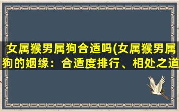 女属猴男属狗合适吗(女属猴男属狗的姻缘：合适度排行、相处之道详解)