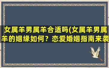 女属羊男属羊合适吗(女属羊男属羊的姻缘如何？恋爱婚姻指南来袭！)