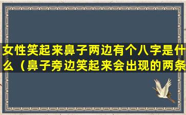 女性笑起来鼻子两边有个八字是什么（鼻子旁边笑起来会出现的两条线是什么）