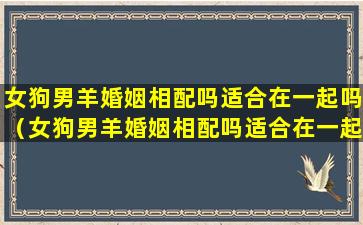 女狗男羊婚姻相配吗适合在一起吗（女狗男羊婚姻相配吗适合在一起吗知乎）