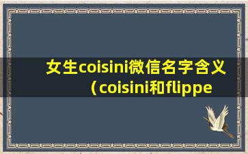 女生coisini微信名字含义（coisini和flipped是情侣名吗）