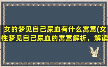 女的梦见自己尿血有什么寓意(女性梦见自己尿血的寓意解析，解读女性尿血梦境的涵义)