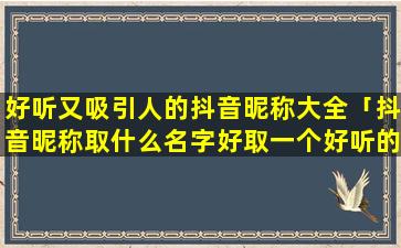 好听又吸引人的抖音昵称大全「抖音昵称取什么名字好取一个好听的抖音昵称」