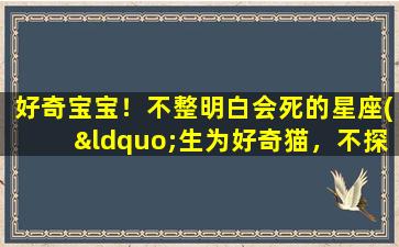 好奇宝宝！不整明白会死的星座(“生为好奇猫，不探究死不瞑目——十二星座zui好奇的排名揭晓！”)