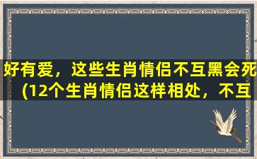 好有爱，这些生肖情侣不互黑会死(12个生肖情侣这样相处，不互黑不互伤，实在太令人羡慕！)