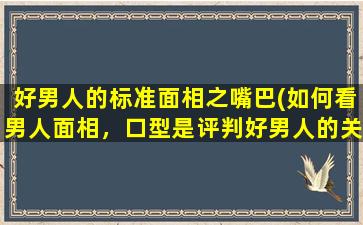 好男人的标准面相之嘴巴(如何看男人面相，口型是评判好男人的关键)