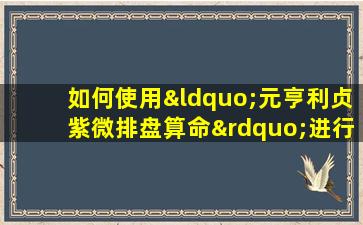 如何使用“元亨利贞紫微排盘算命”进行个人命理分析