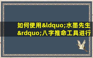 如何使用“水墨先生”八字推命工具进行个人命理分析