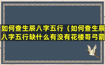 如何查生辰八字五行（如何查生辰八字五行缺什么有没有花楼哥弓箭）