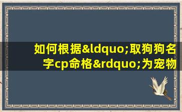 如何根据“取狗狗名字cp命格”为宠物狗选择合适的名字