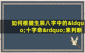 如何根据生辰八字中的“十字命”来判断一个人的命运