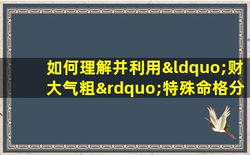 如何理解并利用“财大气粗”特殊命格分享成功经验