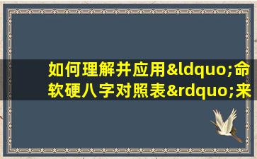 如何理解并应用“命软硬八字对照表”来分析个人命运