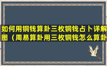 如何用铜钱算卦三枚铜钱占卜详解图（周易算卦用三枚铜钱怎么算卦）