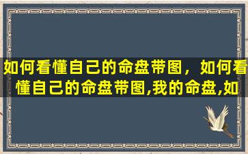 如何看懂自己的命盘带图，如何看懂自己的命盘带图,我的命盘,如何学会看命盘呢