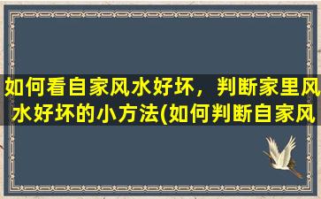 如何看自家风水好坏，判断家里风水好坏的小方法(如何判断自家风水好坏？家里风水小方法大揭秘！)