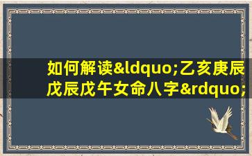 如何解读“乙亥庚辰戊辰戊午女命八字”中的五行相生相克关系