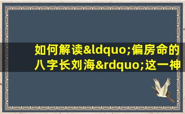 如何解读“偏房命的八字长刘海”这一神秘组合