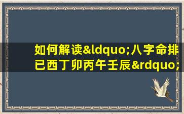 如何解读“八字命排已西丁卯丙午壬辰”中的命理信息