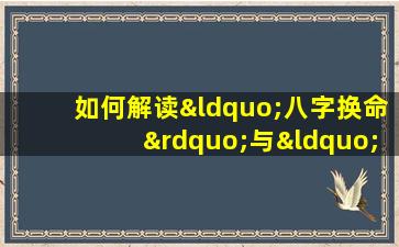 如何解读“八字换命”与“人生轨迹重合”之间的关联