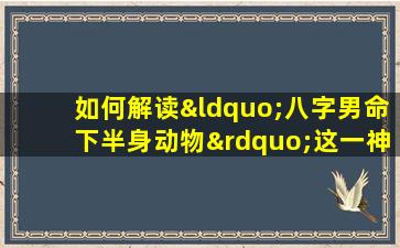 如何解读“八字男命下半身动物”这一神秘术语