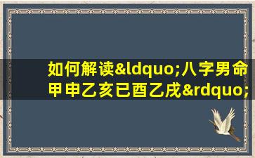 如何解读“八字男命甲申乙亥已酉乙戌”中的命理信息