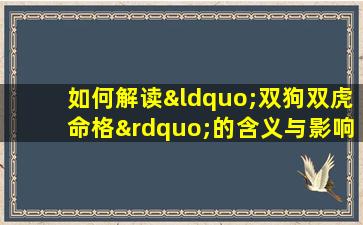 如何解读“双狗双虎命格”的含义与影响