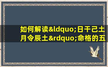 如何解读“日干己土月令辰土”命格的五行平衡与运势走向