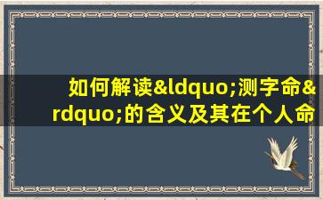 如何解读“测字命”的含义及其在个人命运中的应用