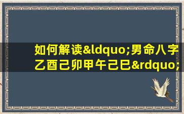 如何解读“男命八字乙酉己卯甲午己巳”中的五行相生相克关系