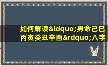 如何解读“男命己巳丙寅癸丑辛酉”八字的命理特征